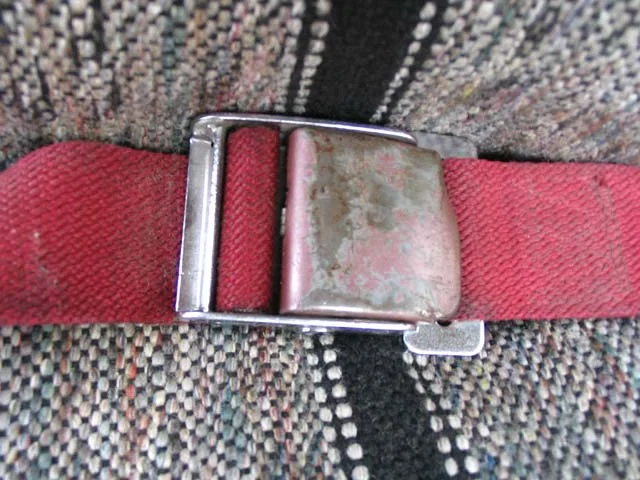 seatbelt1.webp