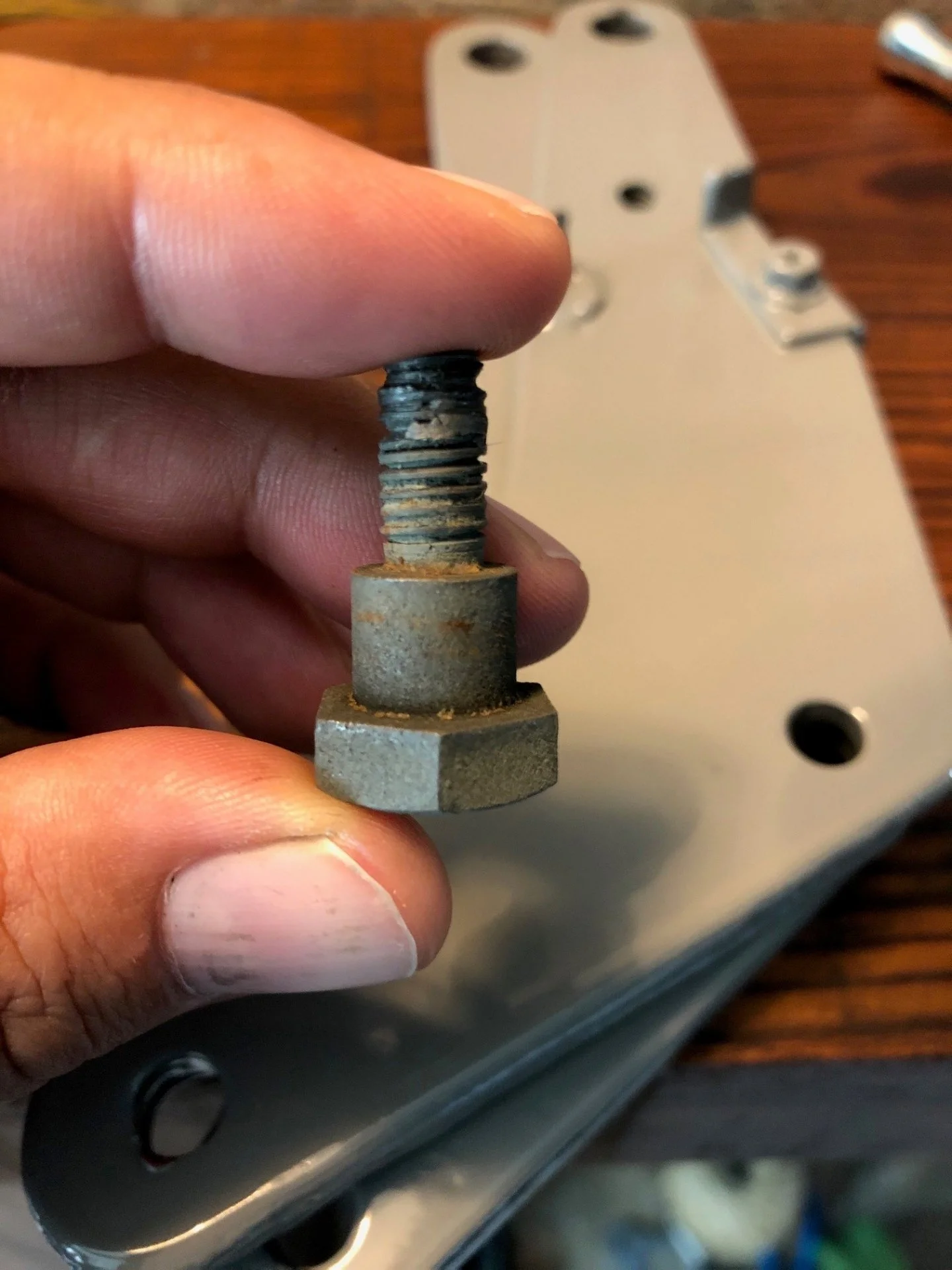 seatbolt.webp