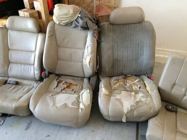 Seats 1.webp