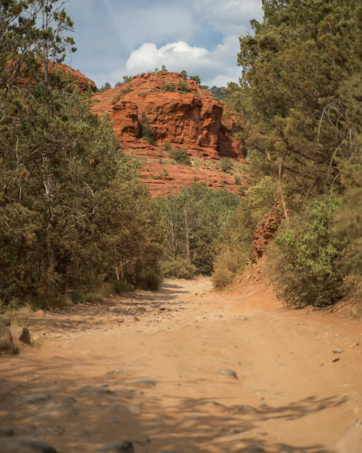 sedona.jpg