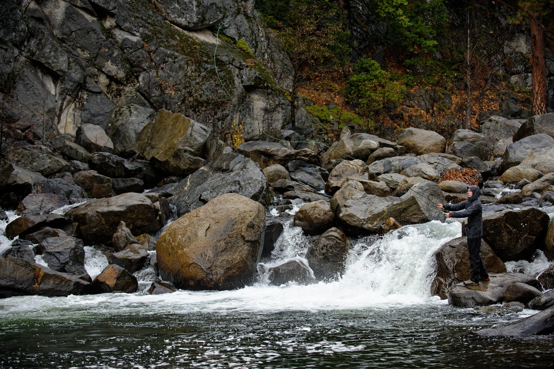 SEP_5789_SEP.webp