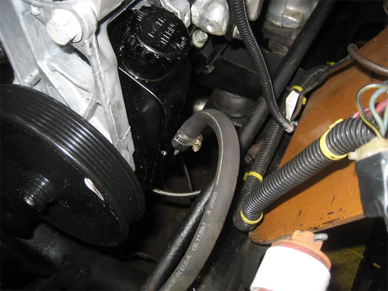 serpsteerhose1.webp
