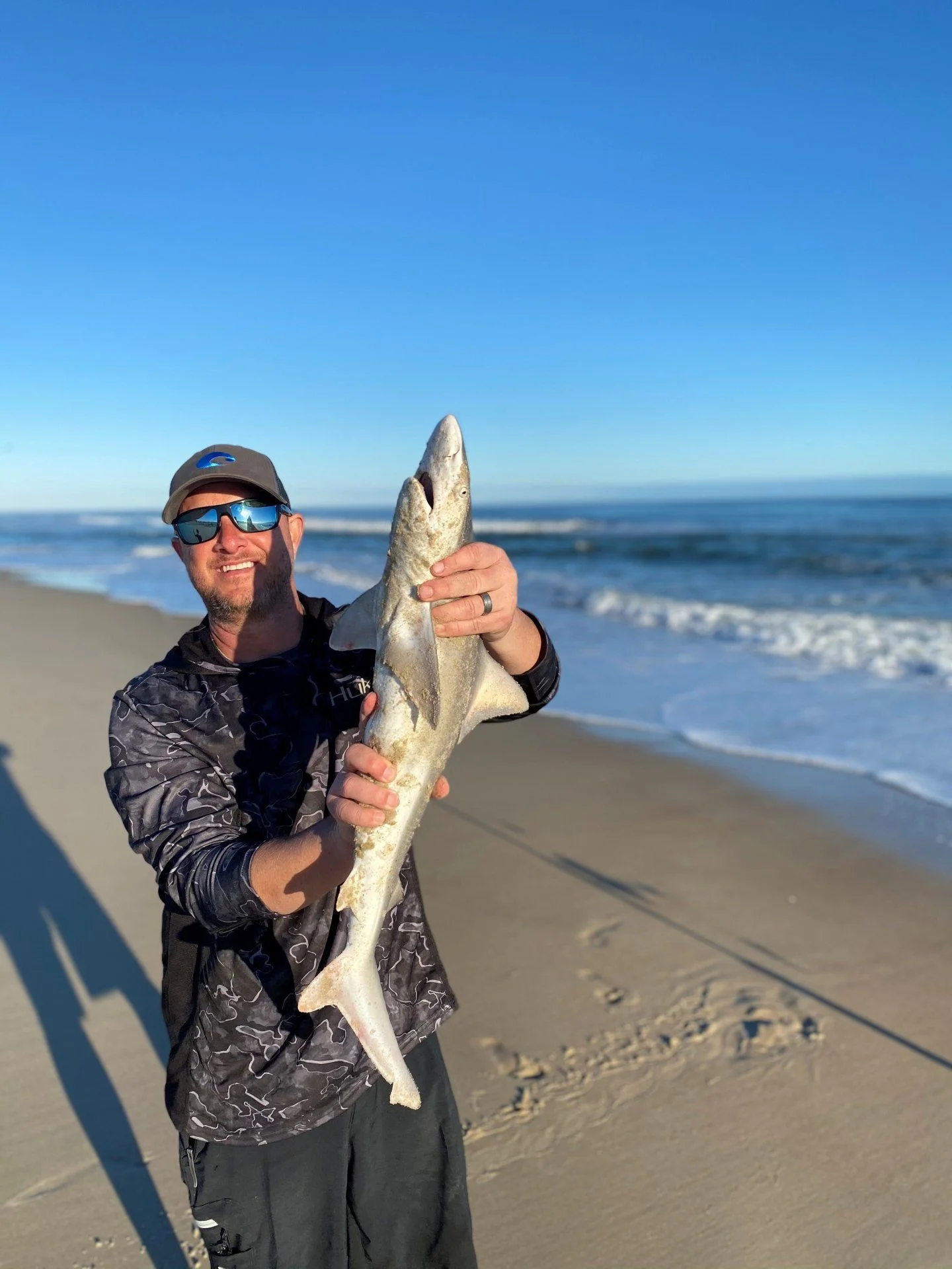 Shark.webp