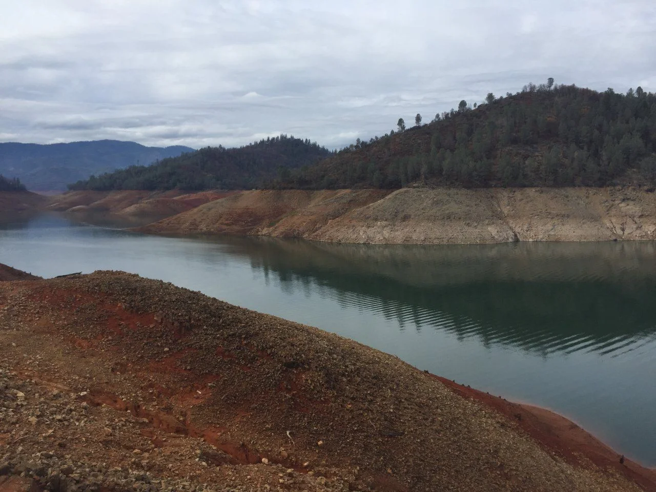 Shasta Lake.webp