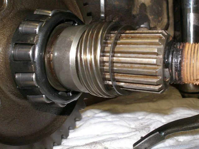 shimwasher 003.webp