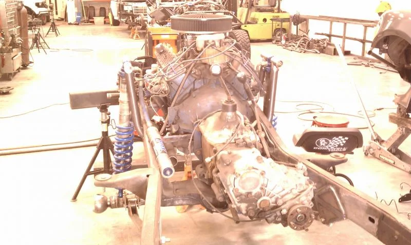 Shock Hoops rear view.webp