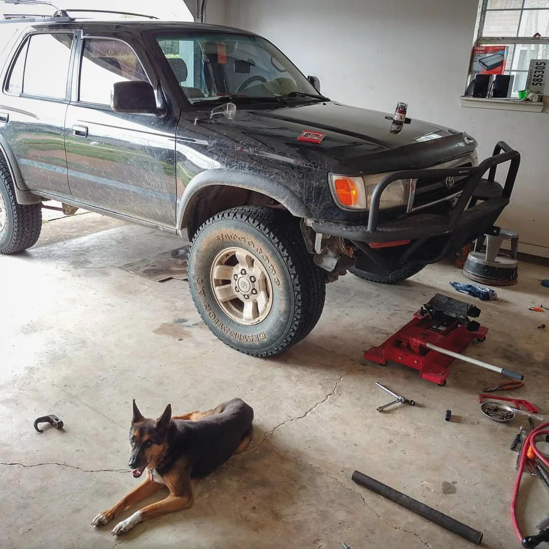 shop dog badlands.webp