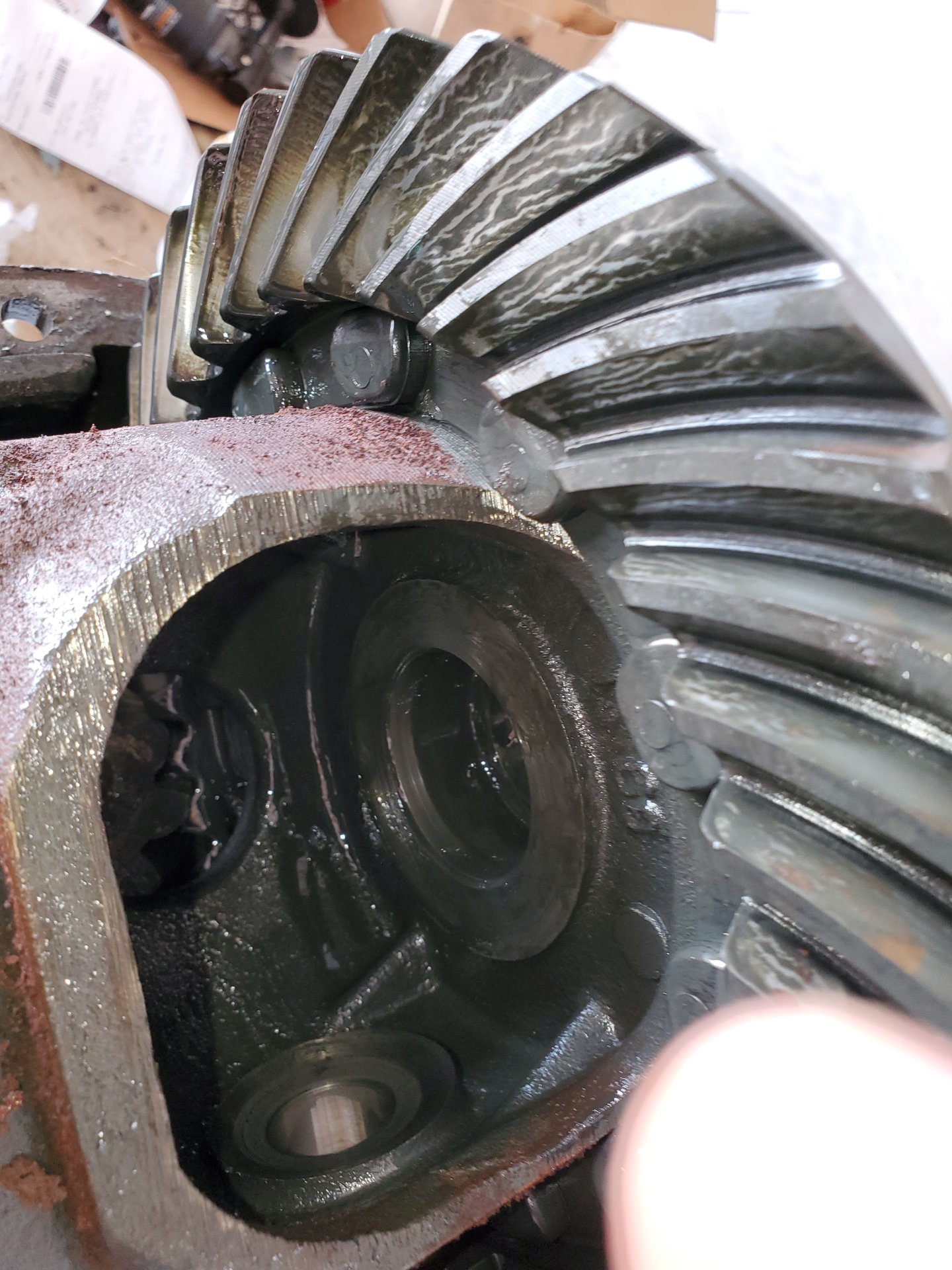 SIDE AND SPIDER GEARS REMOVED.jpg