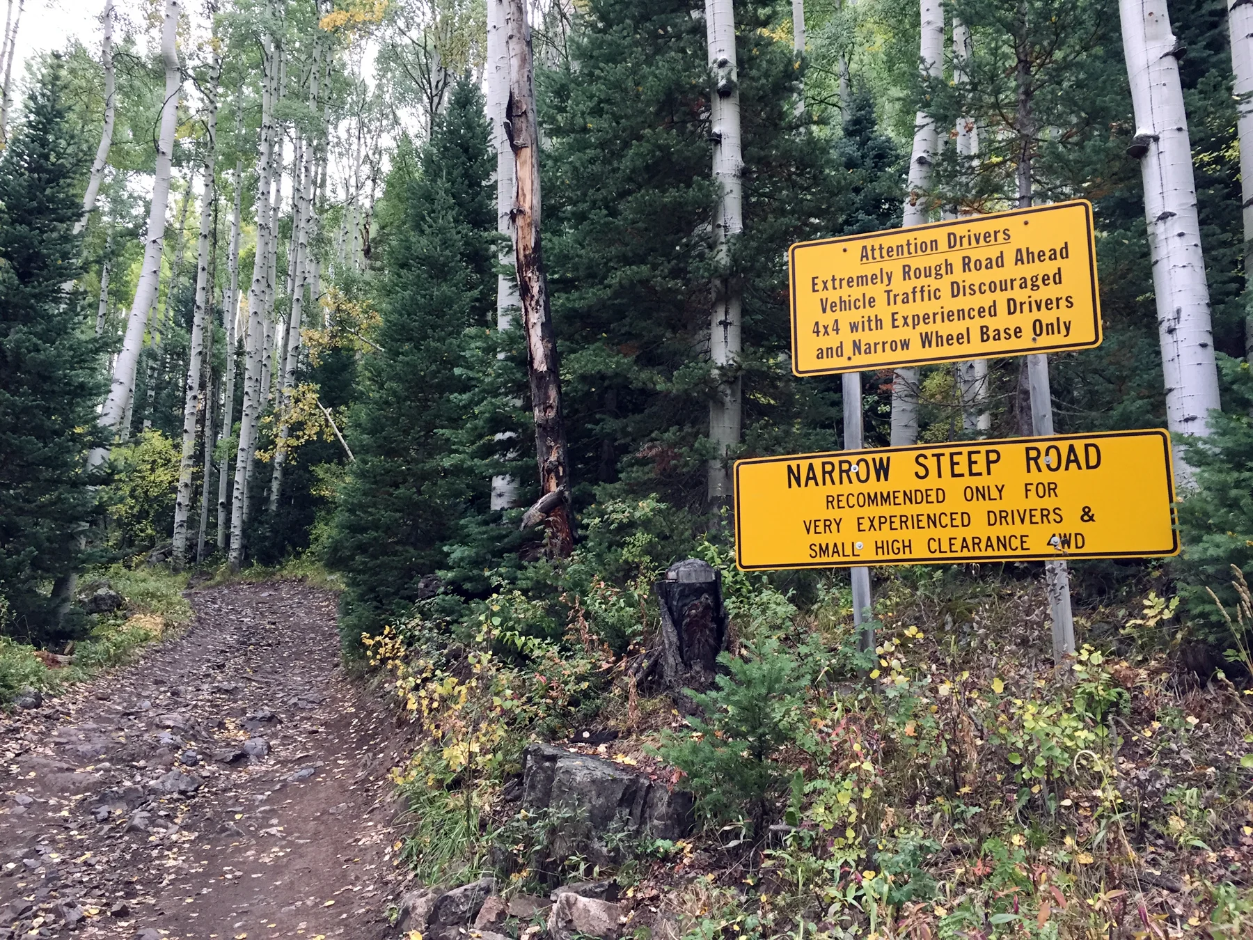 sign.webp