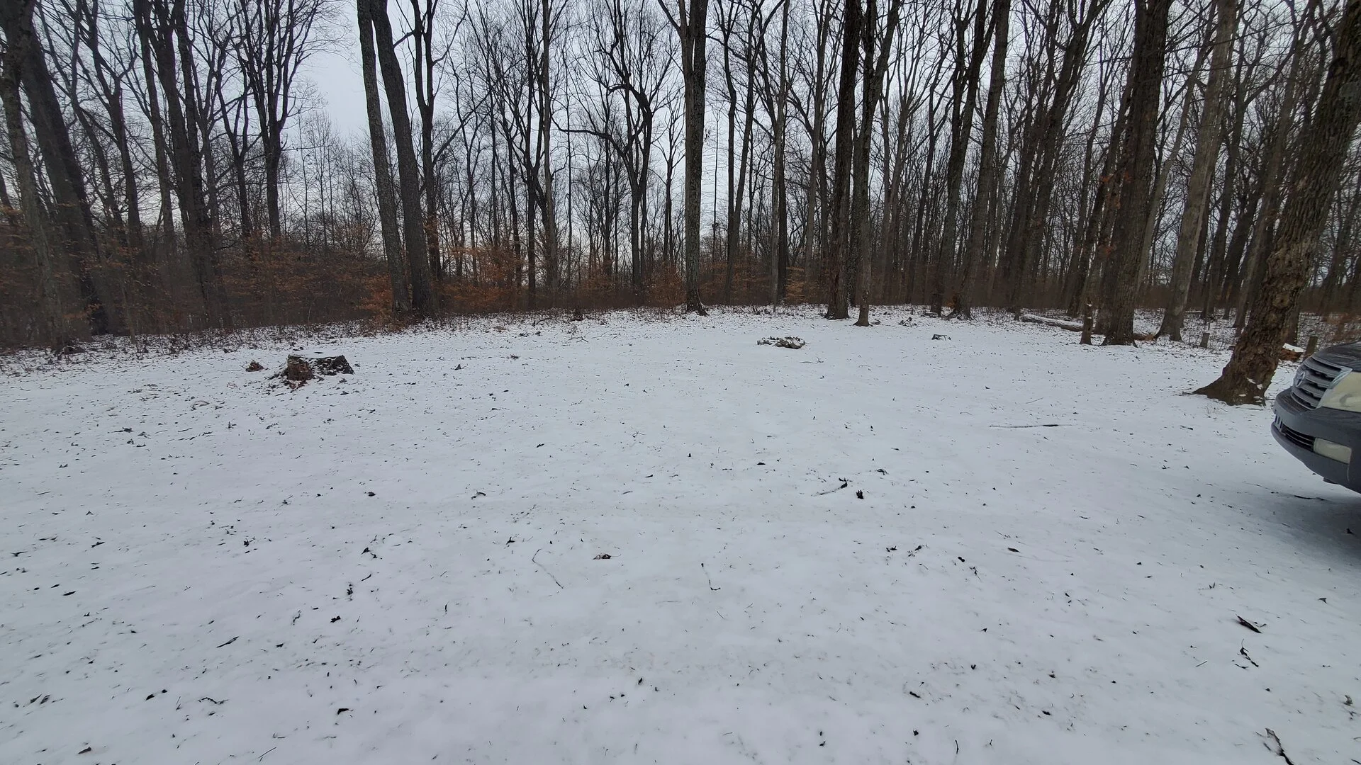 Site 2.jpg
