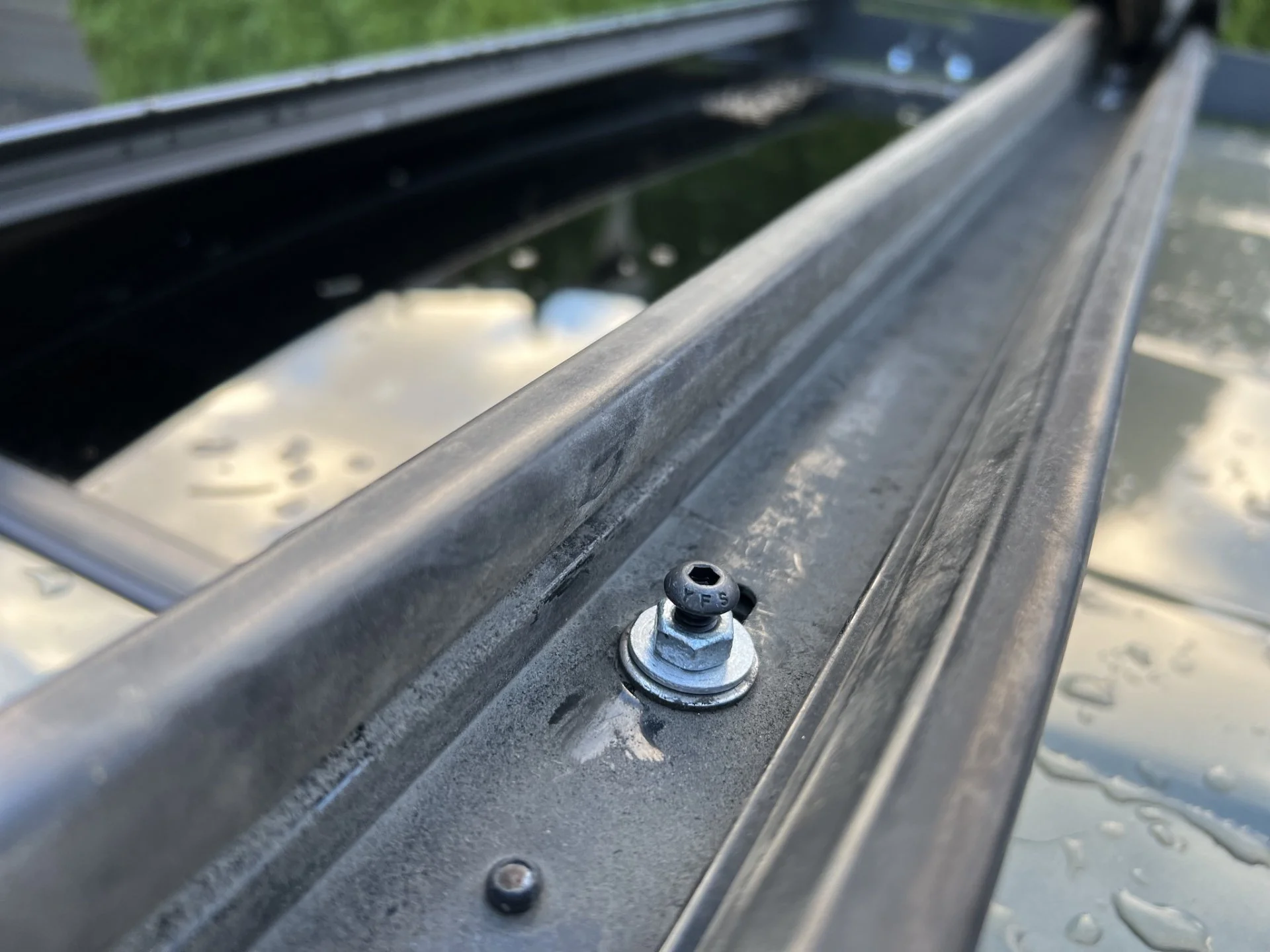 ski_nut.webp
