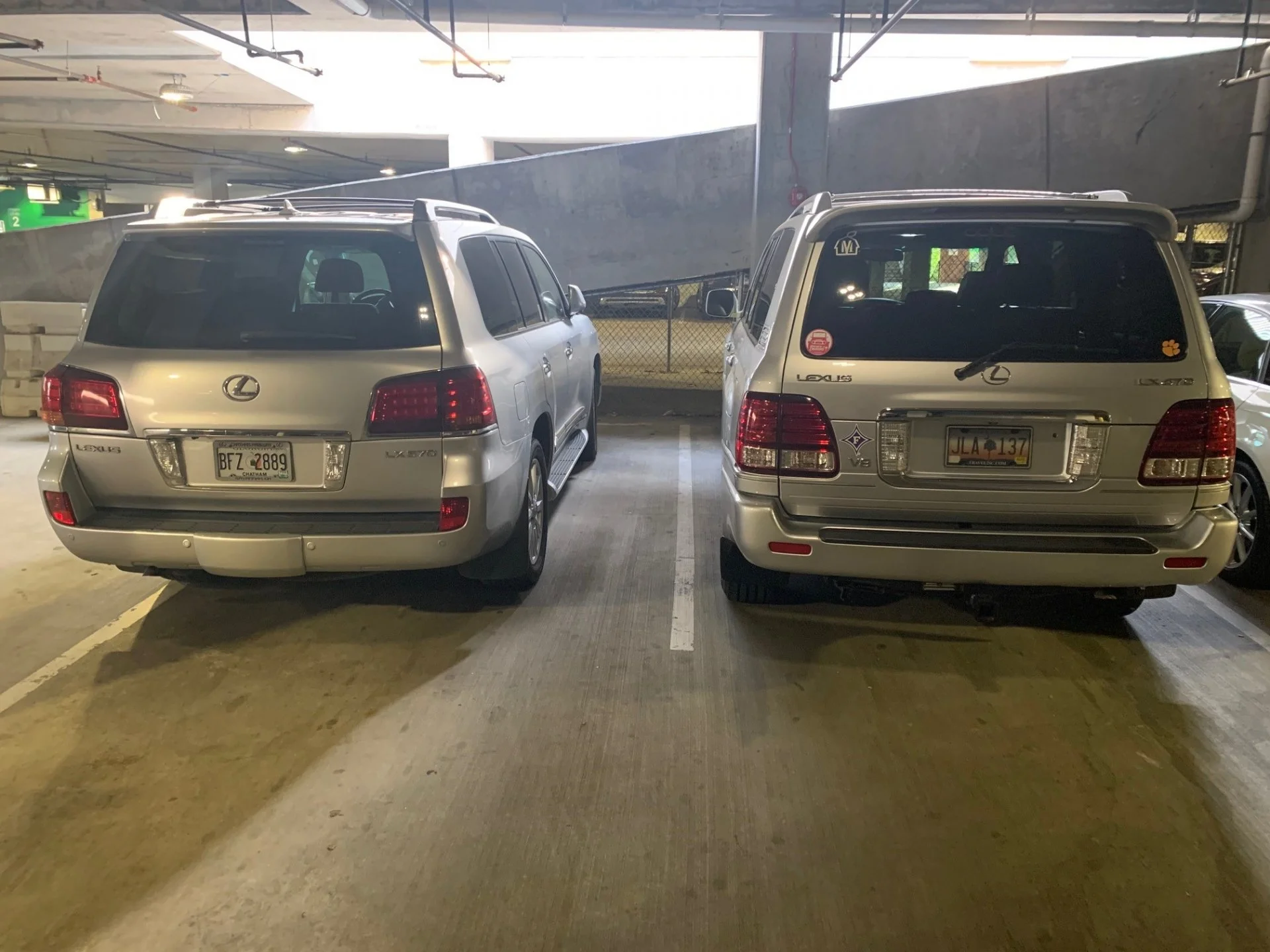 Sliver Lexus Cousins.webp
