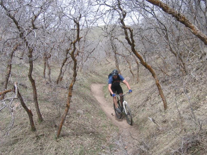 SM_biking_021.webp