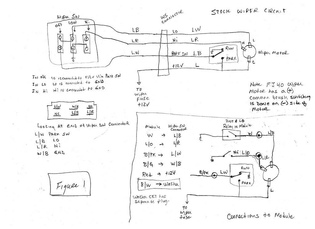small fig 1.webp