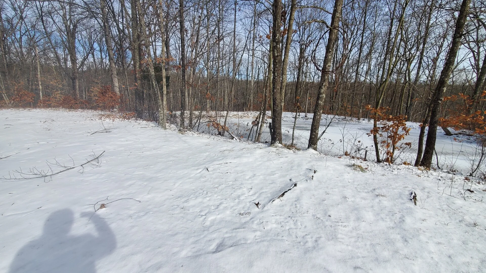 Small Pond.jpg