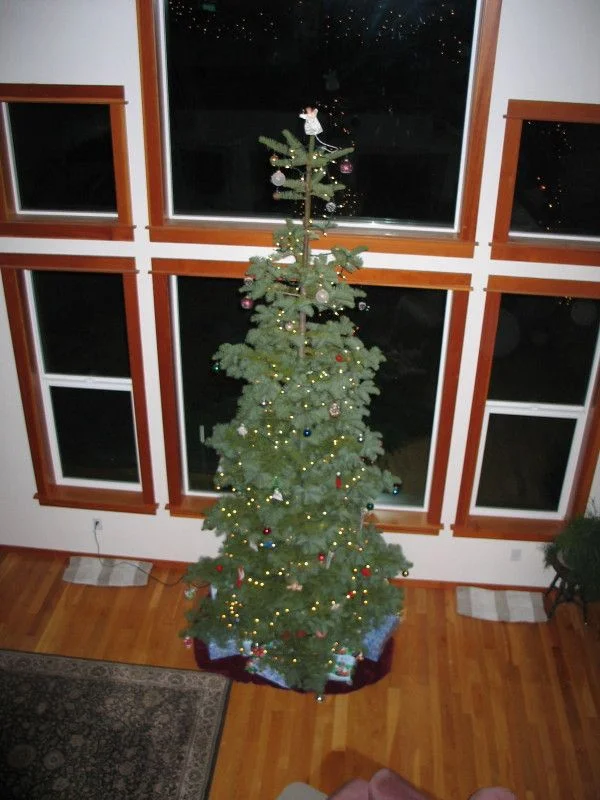 smallIMG0003_1.webp