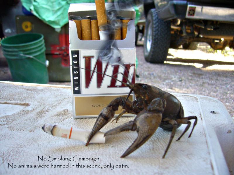 smoking crawfish.jpg