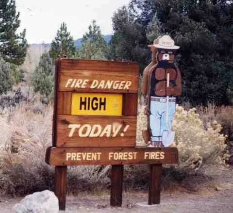 smoky.webp