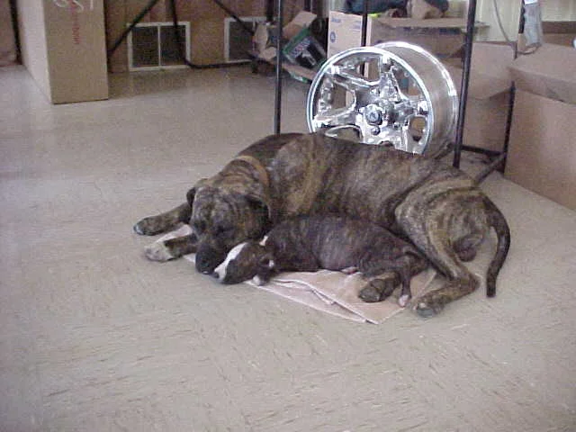 smoot & baby.webp