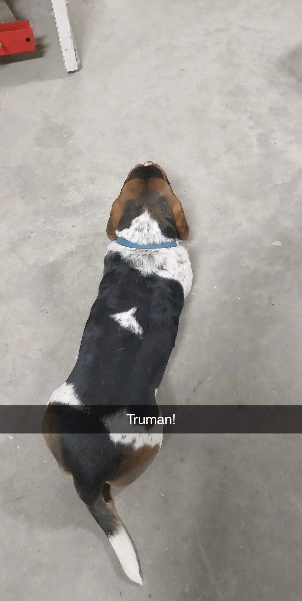 Snapchat-1489452668.jpg