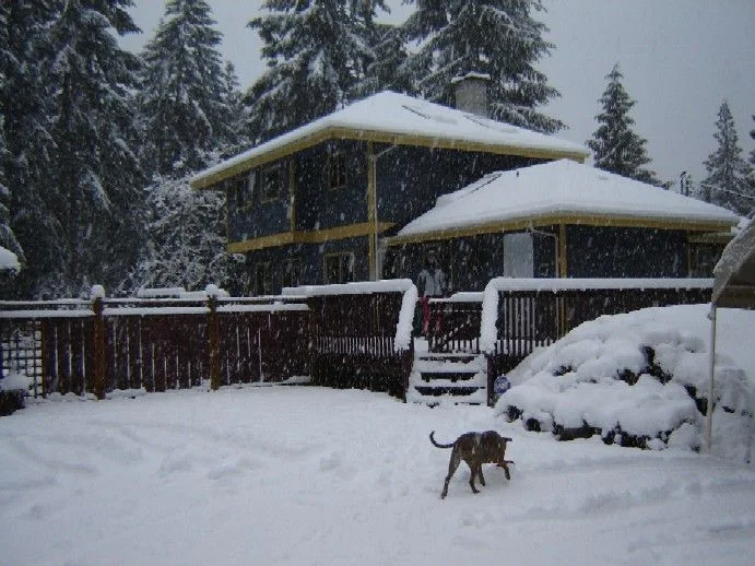 snow 006.webp