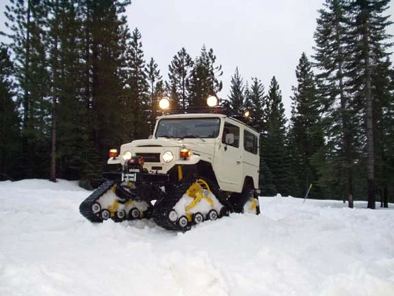 snow 40.webp