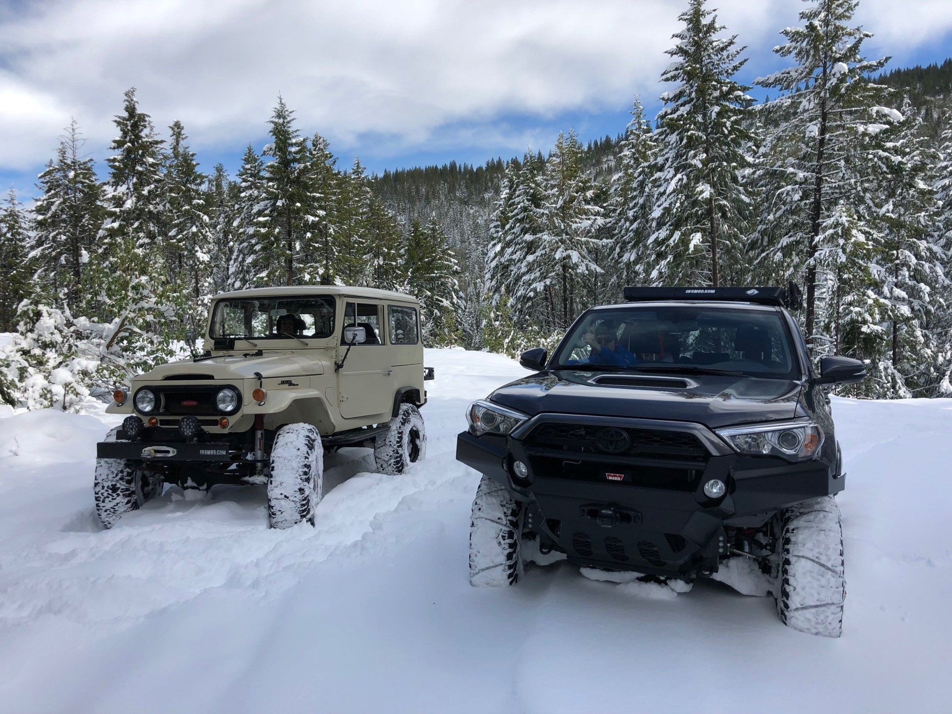 Snow A.jpg