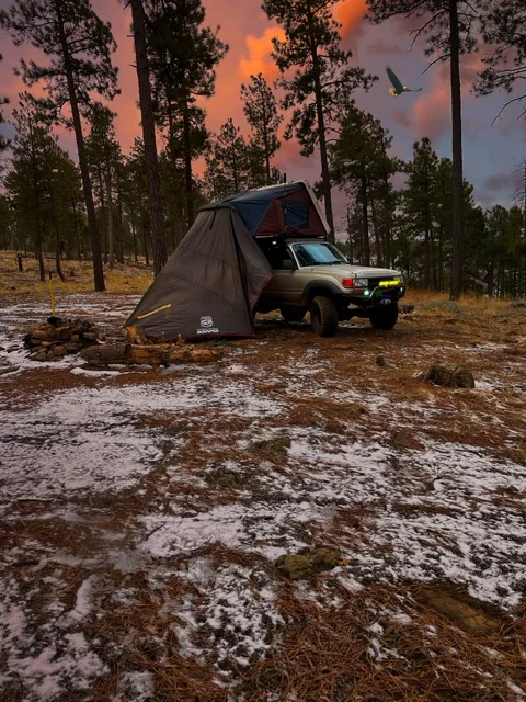 Snow Camp 2022 pic.webp
