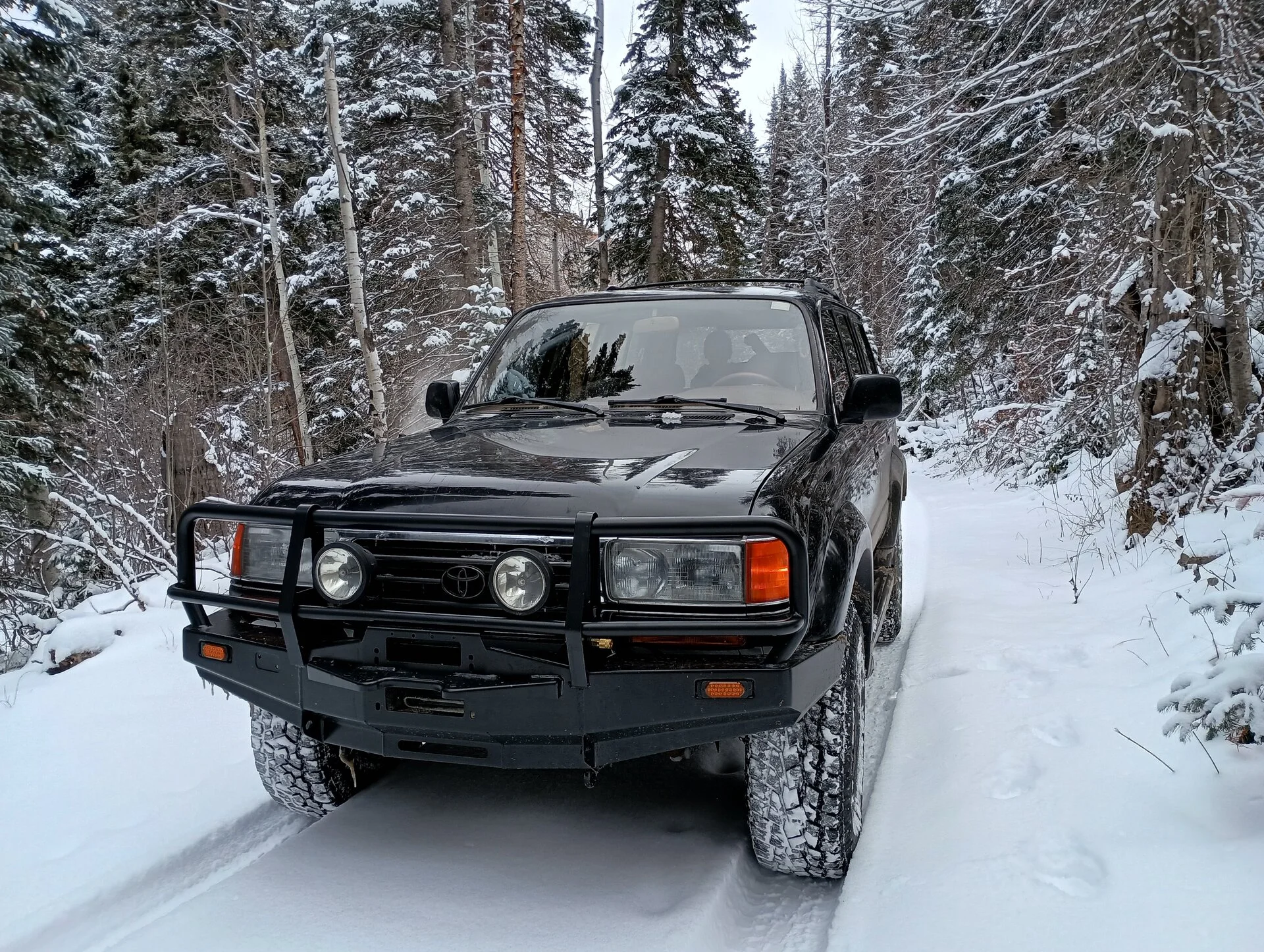 snow day 1.webp