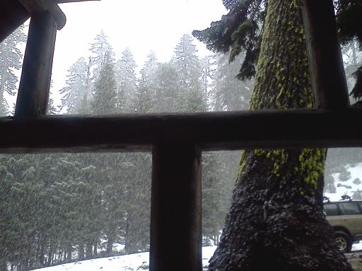 snow.jpg