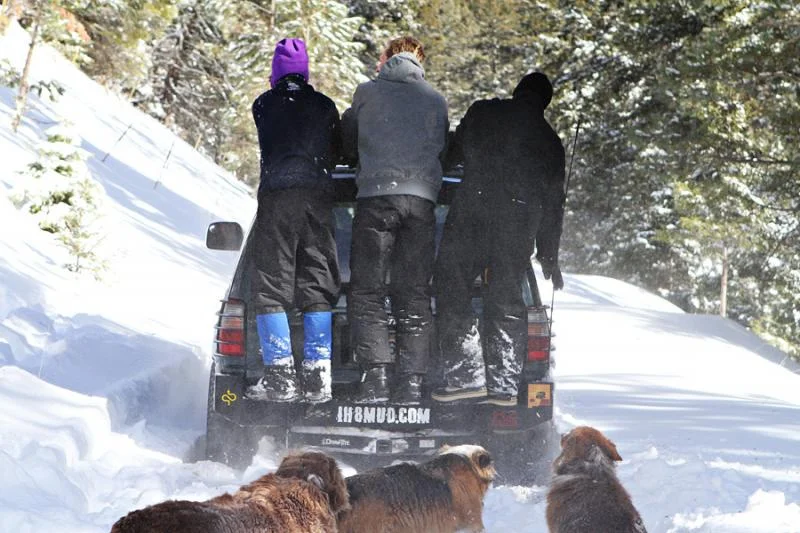 snow run 2.webp