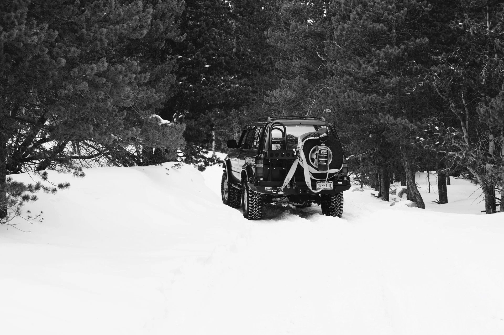 Snow Run 2019.webp