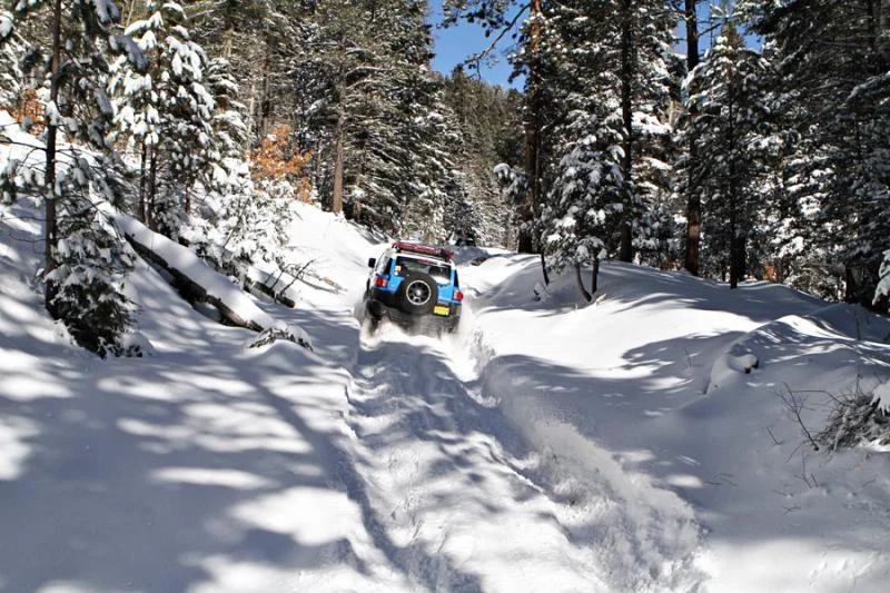 snow run 8.webp