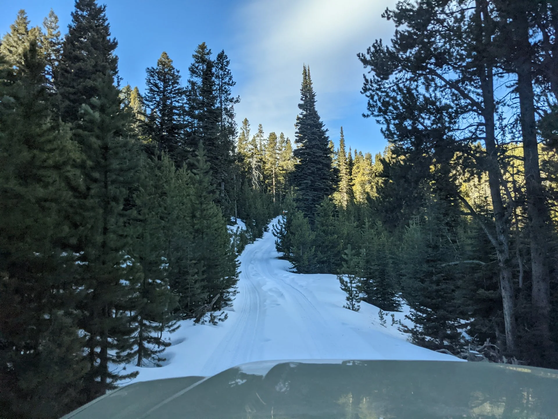 Snow Run Forrest Road.jpg