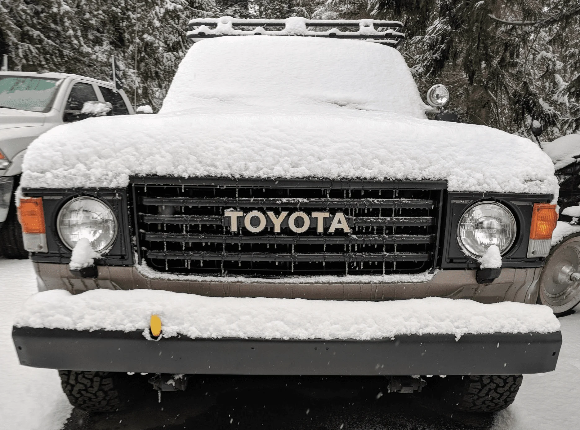 Snow Shot.webp