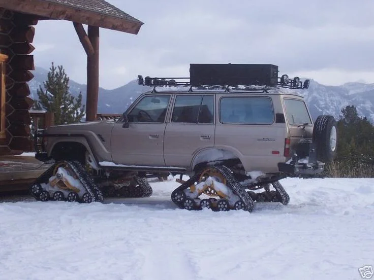 snow traz 60.webp