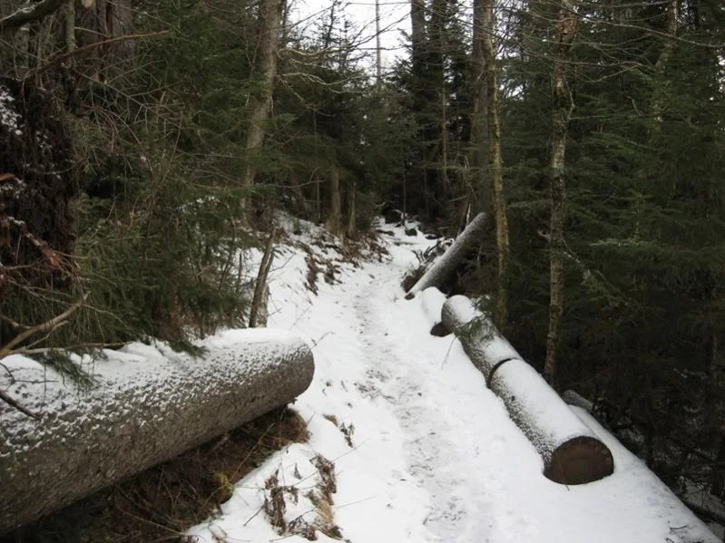 Snow Trip 008.webp