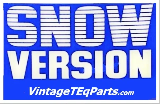 snow version 1 - final.webp