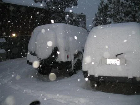 snow.webp