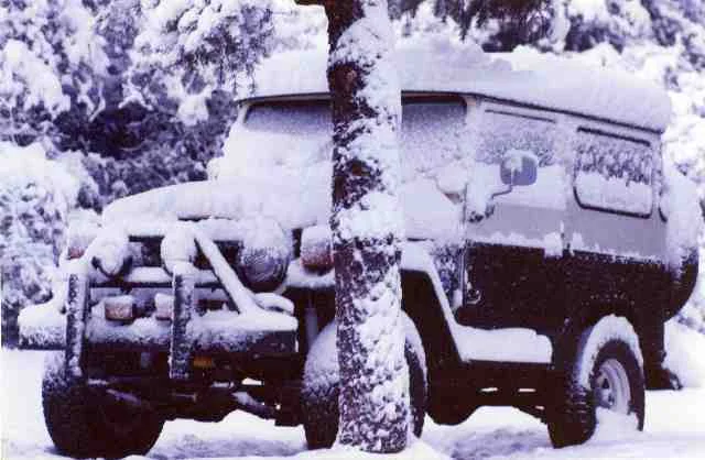 snow.webp