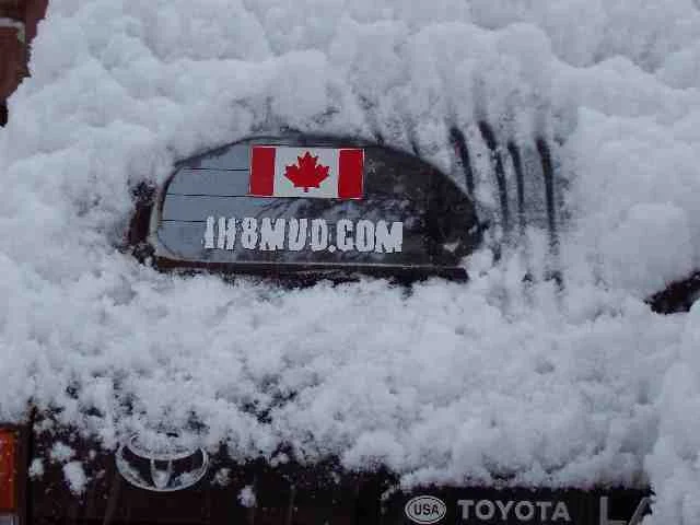 snow084.webp