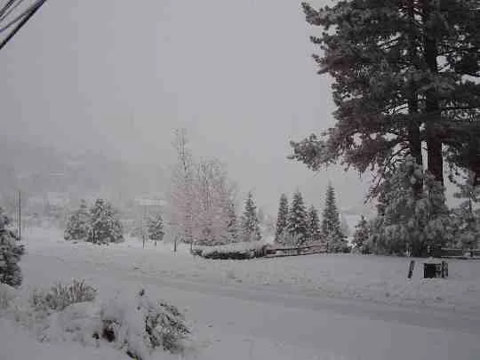snow086.webp
