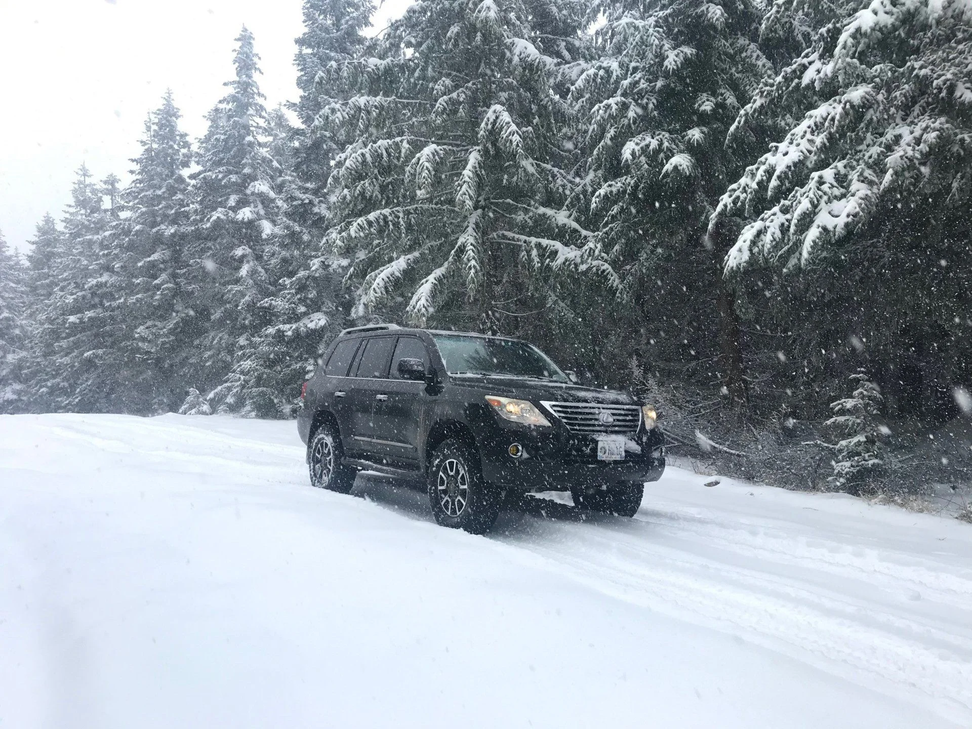 snow1.webp
