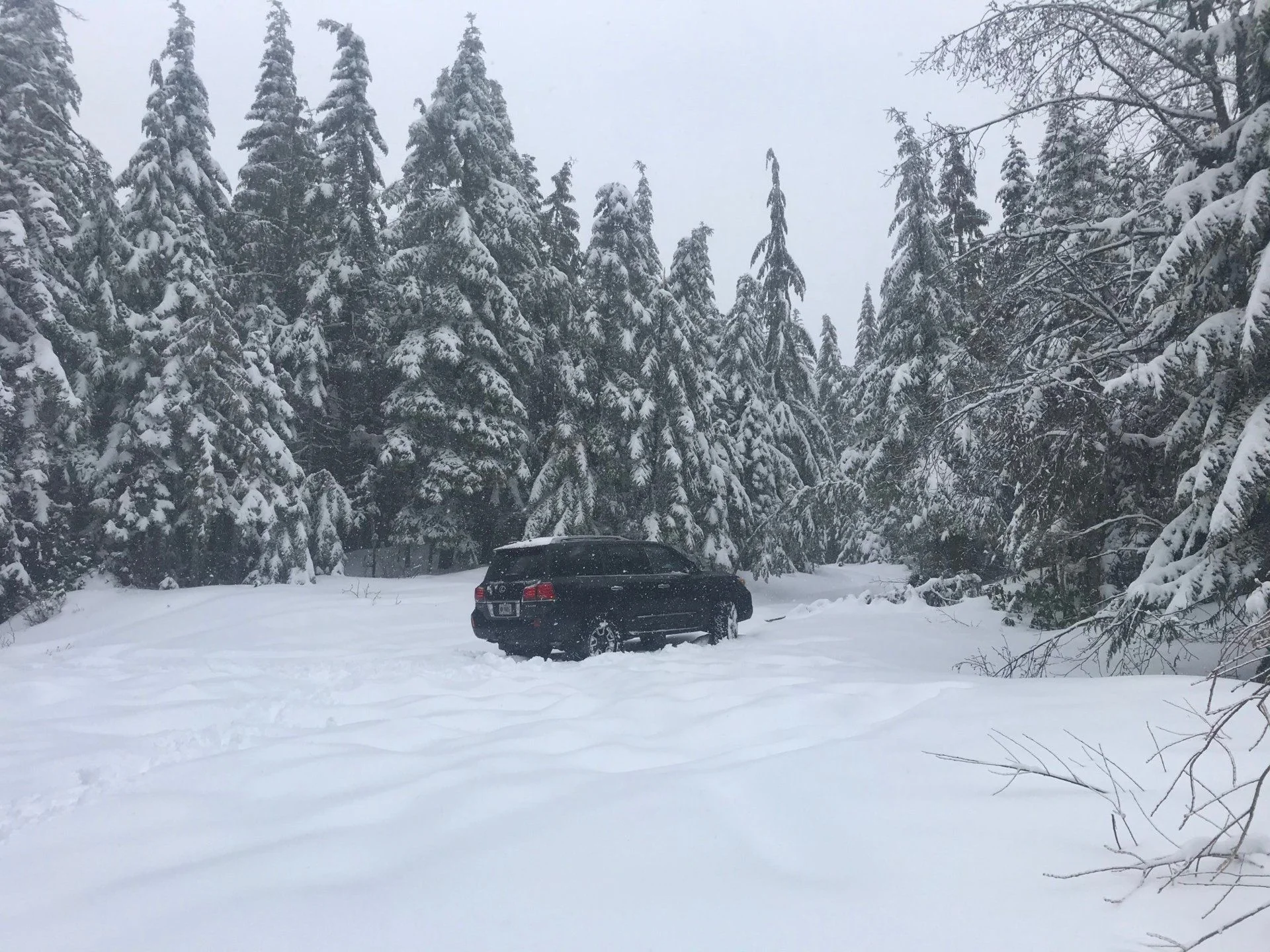 snow2.webp