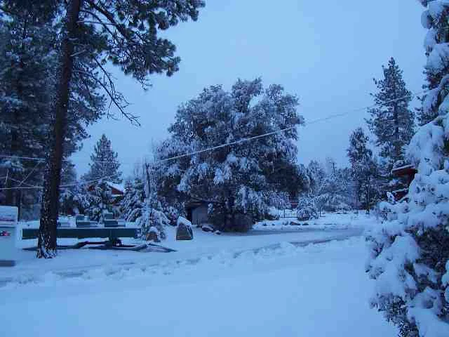 snow4.webp