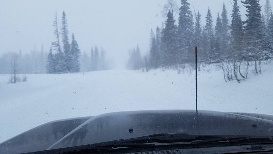 snow80.jpg