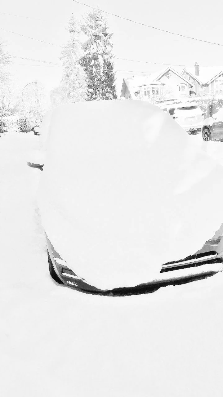 Snowed-in.webp