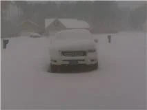 snowjan11.webp