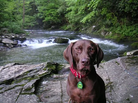 Snuffy Tellico.webp