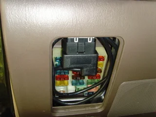 SNV31102.webp